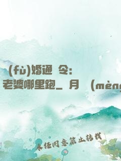 復(fù)婚通緝令：老婆哪里跑