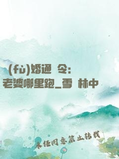 復(fù)婚通緝令：老婆哪里跑