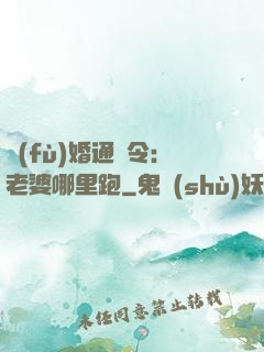 復(fù)婚通緝令：老婆哪里跑