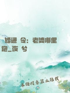 復婚通緝令：老婆哪里跑