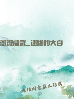 微微威武