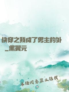 快穿之我成了男主的外掛