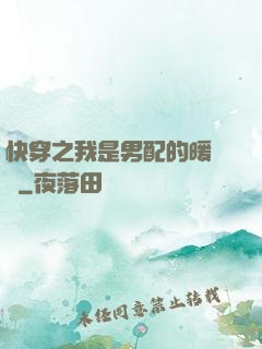 快穿之我是男配的暖寶寶