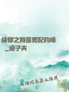 快穿之我是男配的暖寶寶