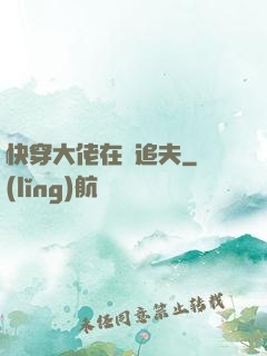 快穿大佬在線追夫