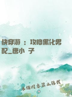 快穿游戲：攻略黑化男配