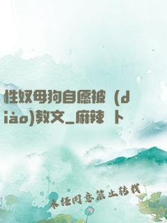 性奴母狗自愿被調(diào)教文