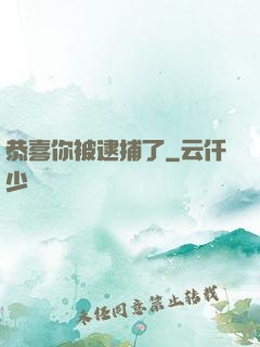 恭喜你被逮捕了