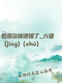 恭喜你被逮捕了