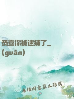 恭喜你被逮捕了
