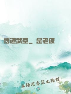 悟道武圣