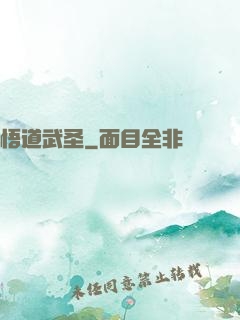 悟道武圣