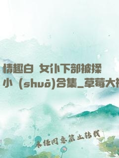 情趣白絲女仆下部被揉小說(shuō)合集