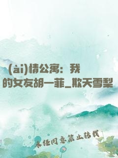 愛(ài)情公寓：我的女友胡一菲