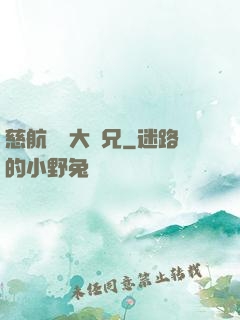慈航靜齋大師兄