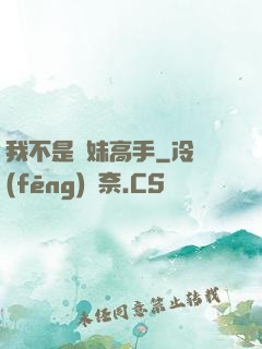 我不是帶妹高手