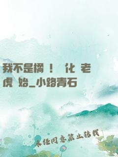 我不是橘貓！進化從老虎開始