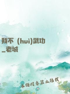 我不會(huì)武功
