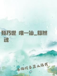 我乃世間唯一仙