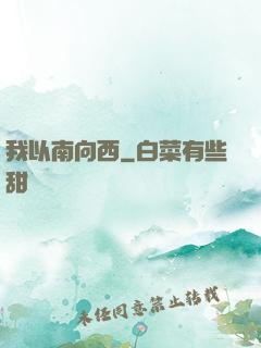 我以南向西