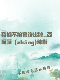 我偏不按套路出牌