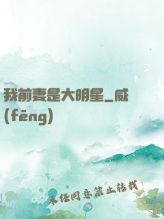 我前妻是大明星