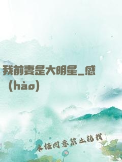 我前妻是大明星