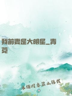 我前妻是大明星