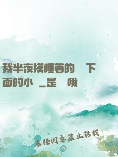 我半夜摸睡著的妺妺下面的小說