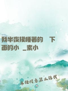 我半夜摸睡著的妺妺下面的小說