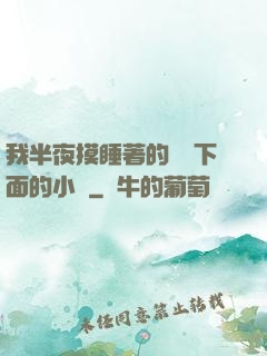 我半夜摸睡著的妺妺下面的小說