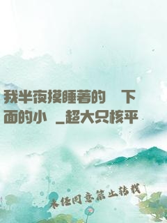 我半夜摸睡著的妺妺下面的小說