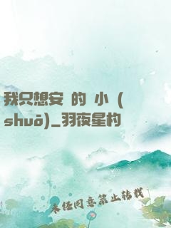 我只想安靜的寫小說(shuō)