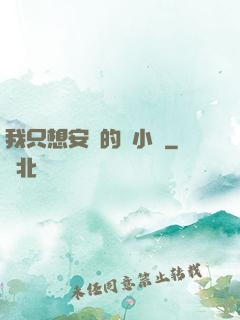我只想安靜的寫小說