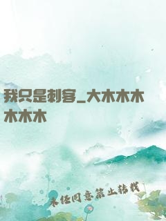 我只是刺客