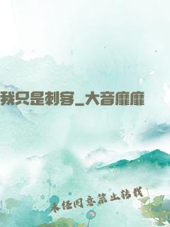 我只是刺客