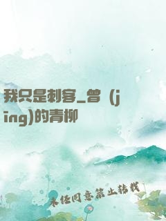 我只是刺客