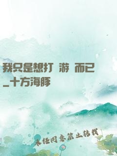 我只是想打個游戲而已