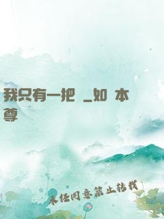我只有一把槍