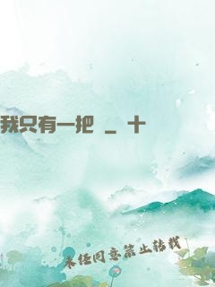 我只有一把槍