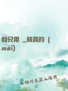 我只用劍