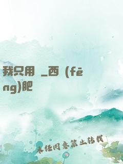 我只用劍