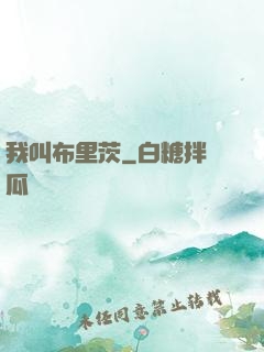 我叫布里茨
