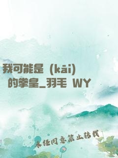 我可能是開(kāi)掛的拳皇