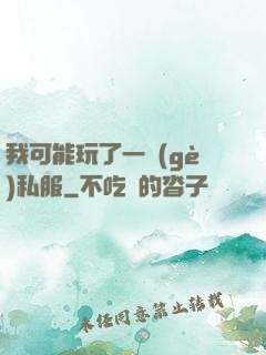 我可能玩了一個(gè)私服