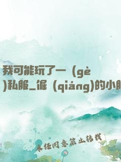我可能玩了一個(gè)私服
