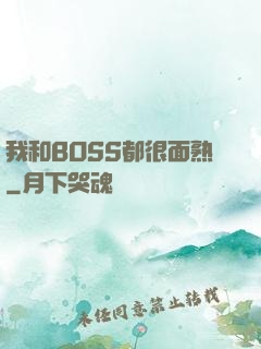 我和BOSS都很面熟