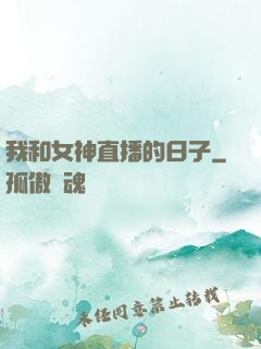 我和女神直播的日子