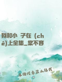我和小娻孑在車(chē)上全集
