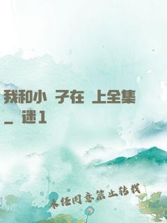 我和小娻孑在車上全集